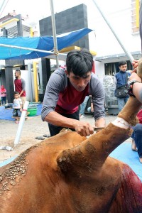 Idul Adha 1437 H - PT. Pratama Kinerja Perkasa